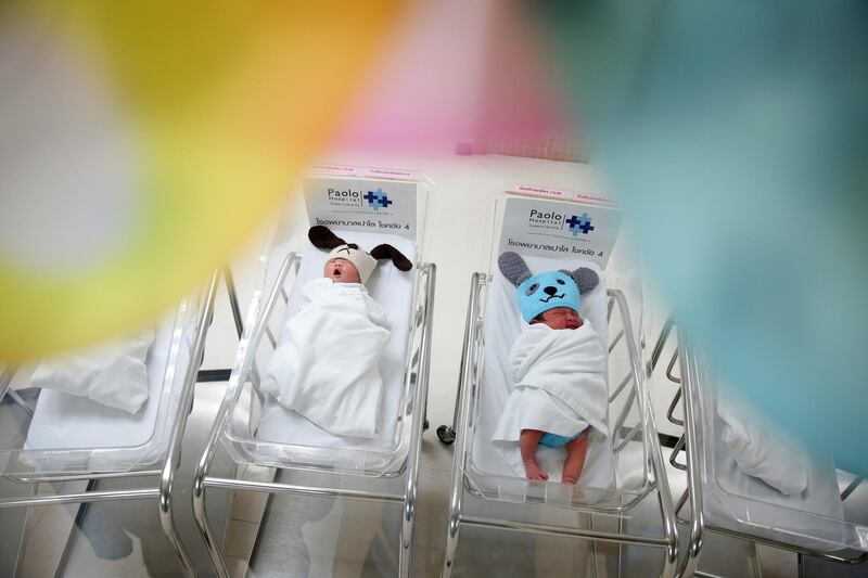 Newborn babies wearing dog costumes to celebrate the New Year of the Dog are pictured at the nursery room of Paolo Chokchai 4 Hospital in Bangkok, Thailand. Athit Perawongmetha / Reuters