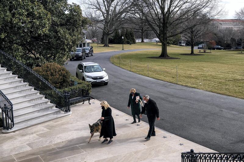 U.S. First Lady Jill Biden guides one of the family dogs, Champ, on his arrival from Delaware at the White House in Washington, U.S. January 24, 2021. Picture taken January 24, 2021. Adam Schultz/White House/Handout via REUTERS.    THIS IMAGE HAS BEEN SUPPLIED BY A THIRD PARTY. MANDATORY CREDIT