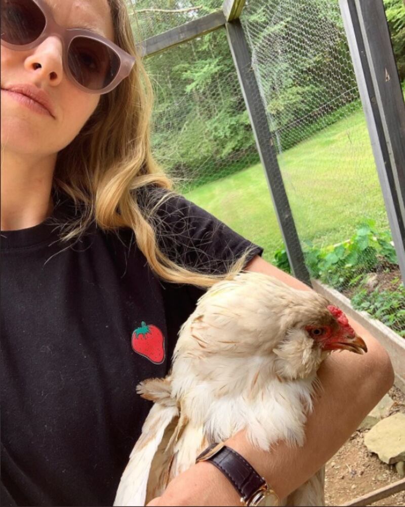 Amanda Seyfried: The 'Mamma Mia!' star has six chickens and one rooster at her home in the Catskills, New York. 'One is called Candice Bergen. There’s a Julia Roberts in there and a Debra Winger,' she told 'Allure' of how she names them after famous actresses. Instagram