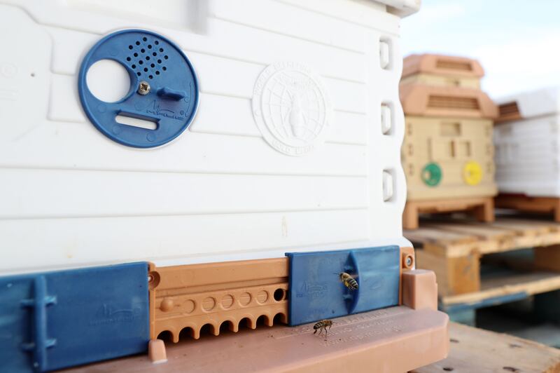 The new concept store also houses honeybees on its roof.