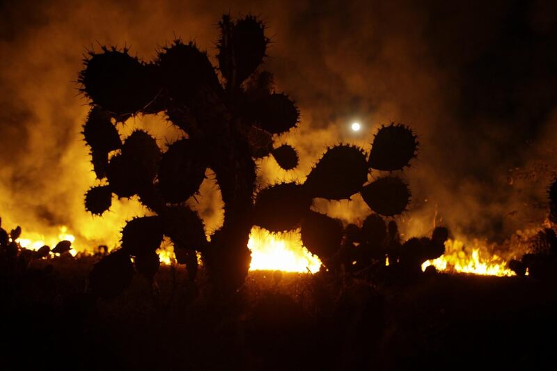 View of the super moon over a forest fire in Corralero, Oaxaca state, Mexico. Mario Arturo Martínez / EPA.