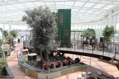 DUBAI ,  UNITED ARAB EMIRATES , AUGUST 26 – 2019 :- Various types of trees planted inside the Glass House at the Quranic Park in Dubai. ( Pawan Singh / The National ) For Weekend Postcard. Story by Katy
