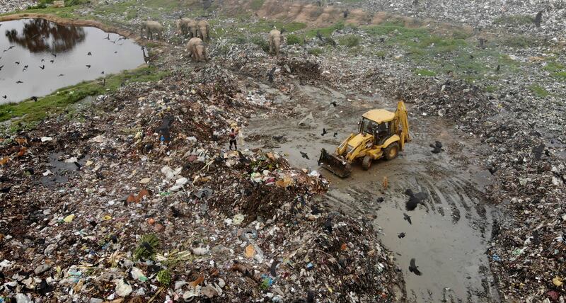 Conservationists and veterinarians are warning that plastic waste in the open landfill in eastern Sri Lanka is killing elephants in the region. AP