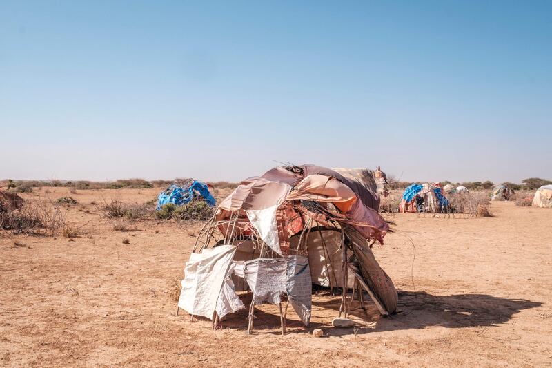 The UN says 1.7 million people have been driven from their homes by a lack of water and pasture