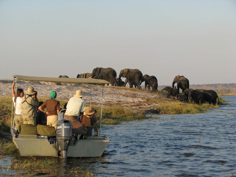 Cruising the Chobe River, Botswana - The rule of thumb in Africa is that where there’s water, there’s wildlife - and the Chobe River in Botswana is notorious for the high concentrations of animals slurping water from its banks. When hundreds of elephants go for a drink at once, the best vantage point is from on the river itself - which is where the purpose-built Zambezi Queen houseboat comes in. Courtesy of AmaWaterways