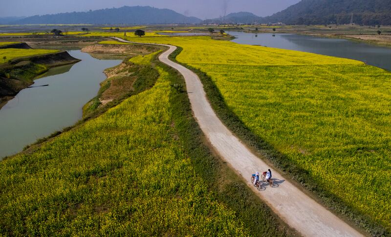 College students cycle through mustard fields near Guwahati, Assam state, India. AP