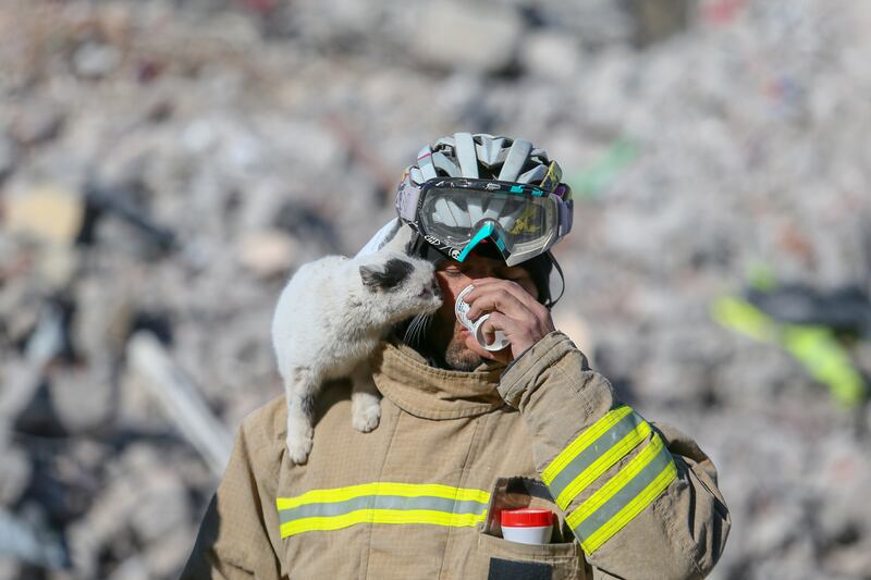 The cat is in safe hands after being adopted by the firefighter, 33