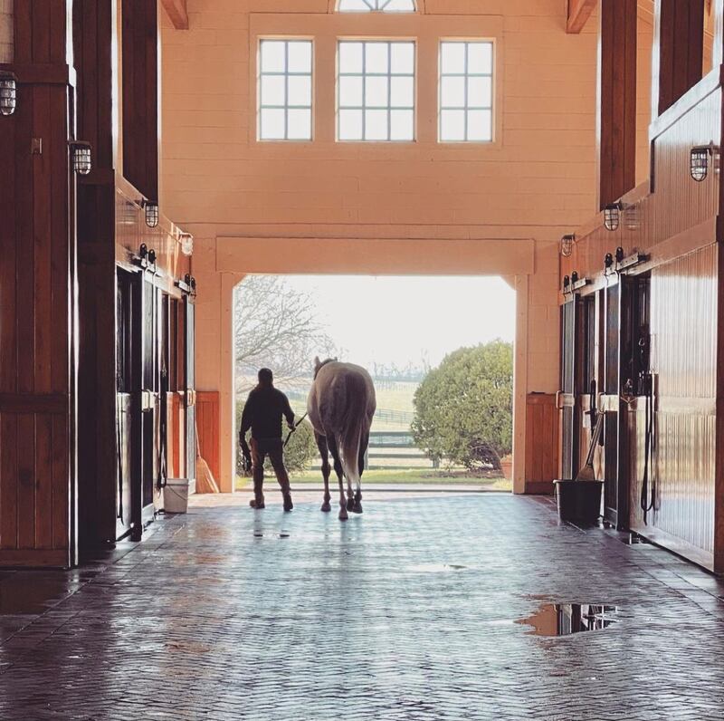 The queen visited about a dozen central Kentucky horse farms to look at thoroughbreds, including a few mares she boarded in 1989. Photo: Lane's End