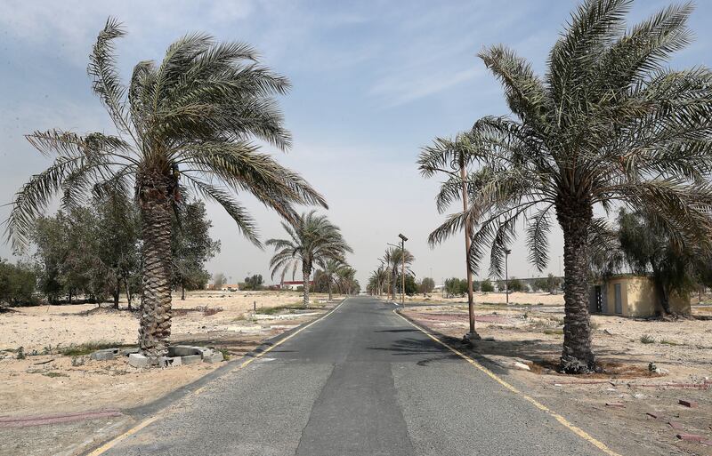 Palm trees sway in the breeze in old Jebel Ali Village. Pawan Singh / The National