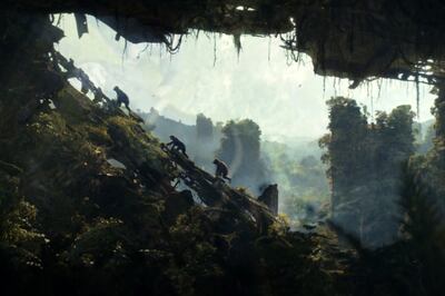 The movie recalls the idyllic natural world found in James Cameron's Avatar films. Photo: 20th Century Studios