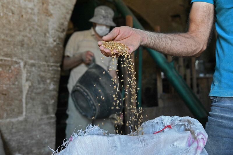 A Syrian Kurdish man handles grains before they are turned into flour.