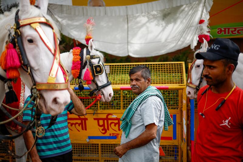 Horses outside Bharatiya Janata Party headquarters in New Delhi on general election results day. Reuters