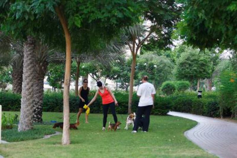 Dubai, United Arab Emirates, Sept. 26 2011, The Greens Community, "Dogs"- (eft to right) Pet owners Clara Stramdio,  Jesse Akister and Cla Ashenden, socialize their dogs along the lake trail in the Greens community. Mike Young / The National