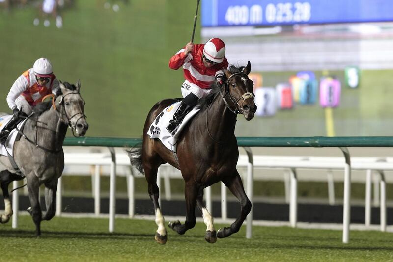 He's No Saint, centre, with jockey Fergal Lynch while winning the Meydan Classic on February 6, 2014, is one of several Irish raiders charging forward during Dubai World Cup Carnival.   Jeffrey E Biteng / The National