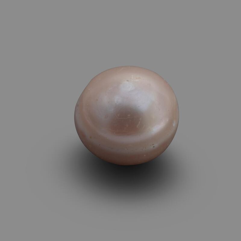 Natural Pearl
c. 5800 BCE, Marawah, United Arab Emirates
3 mm (diameter)
HE.2017.00001
Department of Culture and Tourism - Abu Dhabi
 
Description:
Marawah Island is home to one of the most important archaeological sites in the United Arab Emirates. It provides significant evidence to help us better understand the human communities that lived in the region during the Neolithic period, some 8,000 years ago. The site is comprised of at least seven mounds and excavations in some of them have revealed stone houses dating to c. 6000 BCE. These houses were used as burial chambers during later periods. Within one of the chambers, fragments of the oldest known human skeleton in the emirate of Abu Dhabi were found.
It is, however, the discovery of a complete natural pearl, which dates to the period when the structures were used as houses, that is of enormous importance. Carbon 14 analysis on a sediment sample associated with the pearl indicates a date between 5,800 and 5,600 BCE. Prior to this discovery, the oldest known pearls in the UAE came from a site in Umm Al Quwain and one near Jebel al-Buhais in Sharjah. The Marawah Pearl is older than these making it the world’s oldest known pearl. It indicates that pearls were already gathered in the UAE  8,000 years ago.