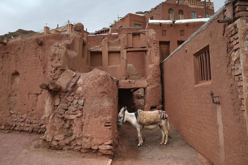 A donkey stands amongst traditional mud brick homes on in the ancient mountain village of Abyaneh.