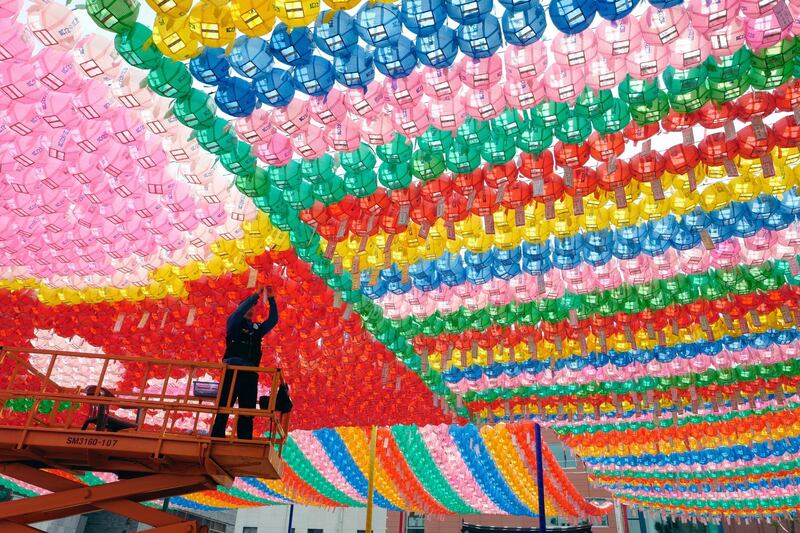 A Buddhist arranges decorative lotus lanterns at Chogye Temple in Seoul, South Korea. EPA