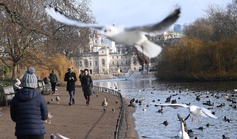 Pedestrians walk in St James' park in London. A national lockdown across England began on midnight on 5 January. EPA