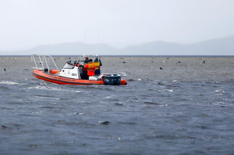 A Parks and Wildlife boat assesses the situation at Strahan. Reuters