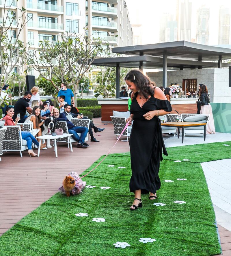 Dogs and their owners made walking the runway look easy. Courtesy Boujie Paws Co