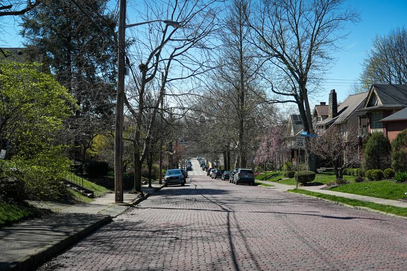 A tree-lined street in the Squirrel Hill area of Pittsburgh