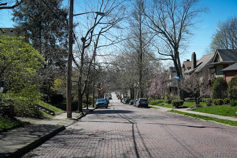 A tree-lined street in the Squirrel Hill area of Pittsburgh