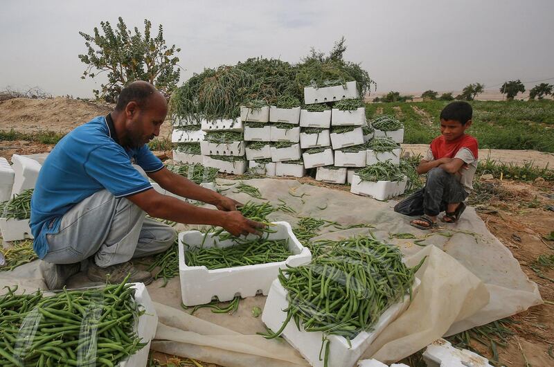 The World Bank says the mean annual temperature is expected to increase by two degrees Celsius and rainfall decrease by a fifth by 2050, meaning farmers will be left counting the costs. AFP