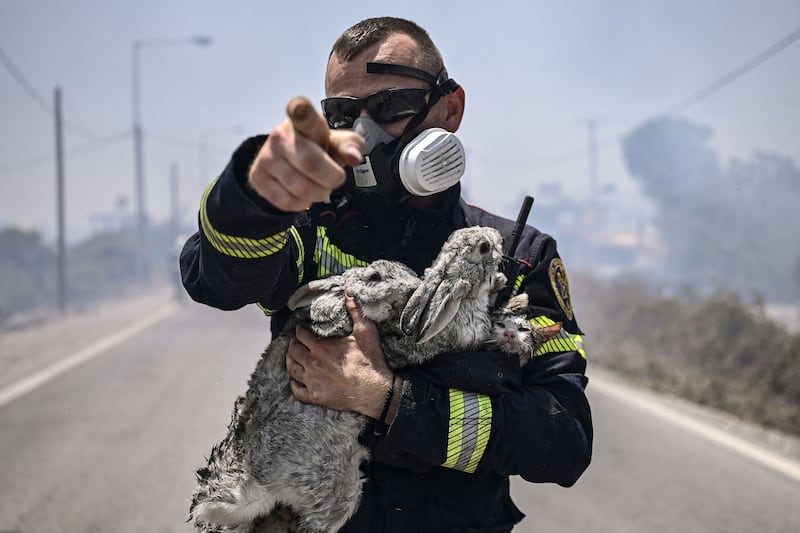 A fireman holds a cat and two rabbits after rescuing them from a fire on the Greek island of Rhodes. AFP