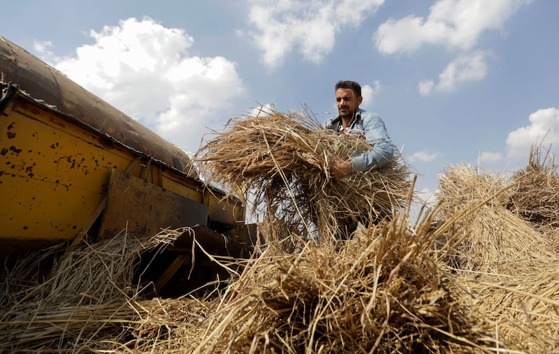 Qaha is located in the rich farmland of the southern part of the Nile Delta.