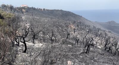 The aftermath of Tabarka wildfires on Tunisian-Algerian border. Ghaya Ben Mbarek for The National