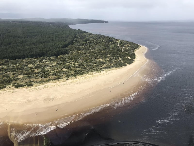 An aerial view shows pilot whales beached along the coastline near the remote west coast town of Strahan. EPA
