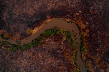 An aerial view of a burnt area of the Pantanal, near the Transpantaneira park road which crosses the world's largest tropical wetland, in Mato Grosso State, Brazil. Exacerbated by a historic drought larges swathes of forest and wetlands in central South America known for their exceptional biodiversity have been ravaged by devastating fires.  AFP / Mauro PIMENTEL
