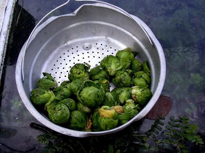 Given that 17.2 million Brussels sprouts go uneaten, don't be afraid to replace wasteful traditions