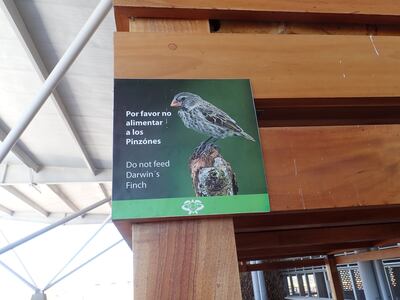 The Galapagos Islands are home to a large number of endemic species and Seymour Airport signage is designed to help protect them. Photo: Twitter