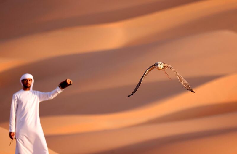TOPSHOT - Emirati Ali Mansouri trains a falcon in the Liwa desert, some 250 kilometres west of the Gulf emirate of Abu Dhabi on January 9, 2021.  / AFP / Karim SAHIB
