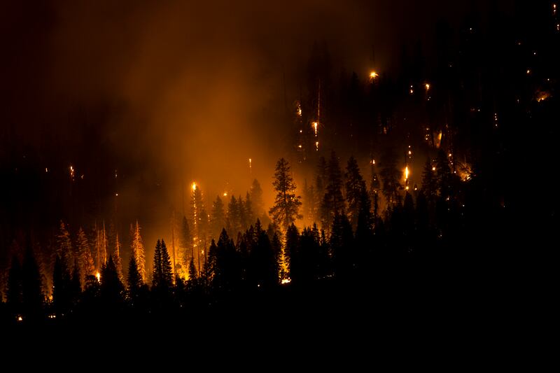 Trees are silhouetted by a wall of flames, as the Washburn fire rages in Yosemite National Park. AP