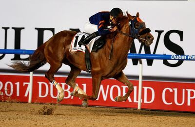 Mind Your Biscuits will be striving to win the Dubai Golden Shaheen. Ahmed Jadallah / Reuters