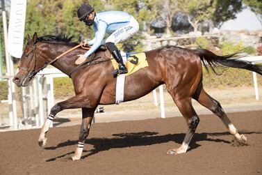 Xavier Ziani on Blown By Wind comes home first in the Jebel Ali Mile at the Jebel Ali Racecourse on Friday. Courtesy Dubai Horse Racing Information Centre