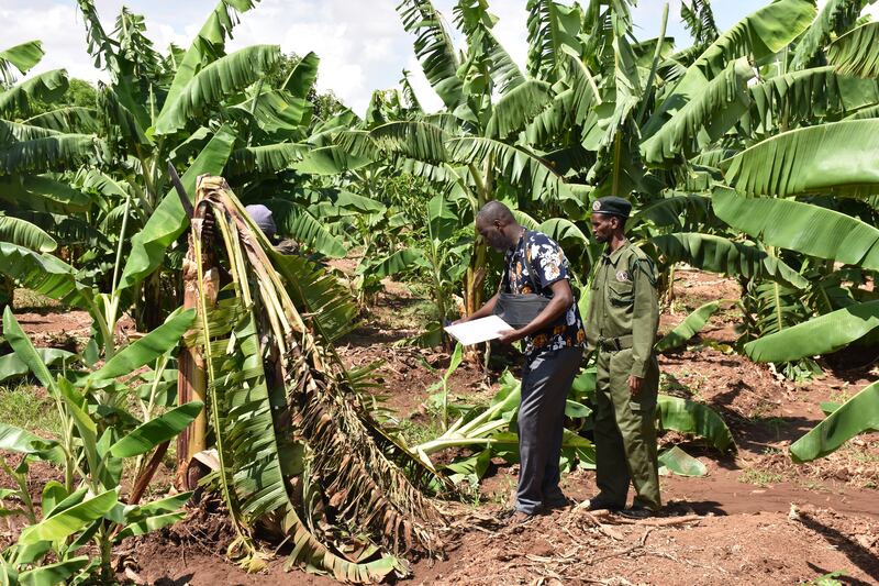 Rangers inspecting crop damage at a farm