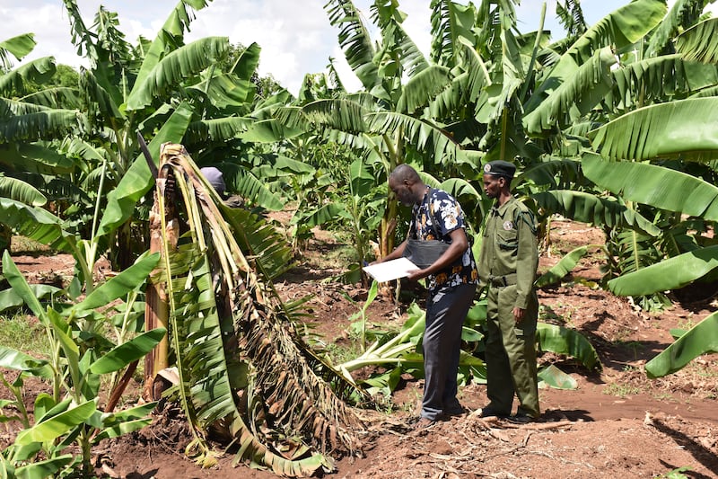 Rangers inspecting crop damage at a farm