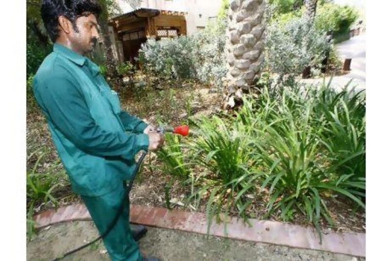 A gardener at Madinat Jumeirah hotel sprays liquid fertiliser produced from food scraps using the Bokashi process. The leftover solid waste is buried and used as compost.