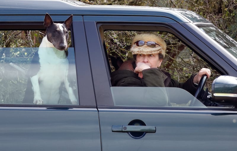STROUD, UNITED KINGDOM - MARCH 23: (EMBARGOED FOR PUBLICATION IN UK NEWSPAPERS UNTIL 24 HOURS AFTER CREATE DATE AND TIME) Princess Anne, Princess Royal, with her bull terrier dog, seen driving her Land Rover Discovery as she attends the Gatcombe Horse Trials at Gatcombe Park on March 23, 2019 in Stroud, England. (Photo by Max Mumby/Indigo/Getty Images)