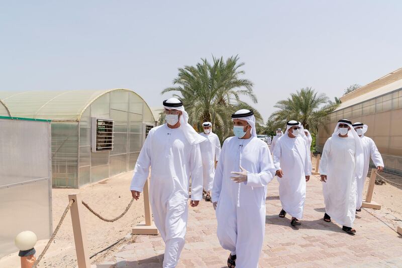 AL BAHIYA, ABU DHABI, UNITED ARAB EMIRATES - July 4, 2020: HH Sheikh Mohamed bin Zayed Al Nahyan, Crown Prince of Abu Dhabi and Deputy Supreme Commander of the UAE Armed Forces (L) visits Local Model Farms. Seen with Hamed Al Hamed, Founder of the Gracia Group (R).

( Mohamed Al Hammadi / Ministry of Presidential Affairs )
---