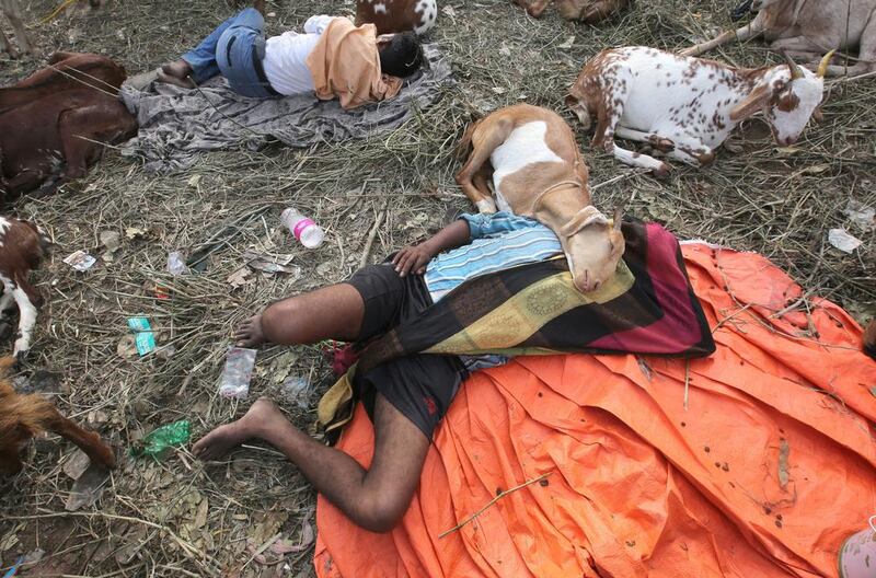 A goat seller sleeps at a market outside the Jama Masjid mosque ahead of the Eid Al-Adha festival in Delhi.  Rajat Gupta / EPA