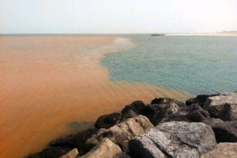 An unidentified brown liquid drifts in the ocean just off the beach next to the Dubai Offshore Sailing Club. Kevin J. Larkin / The National