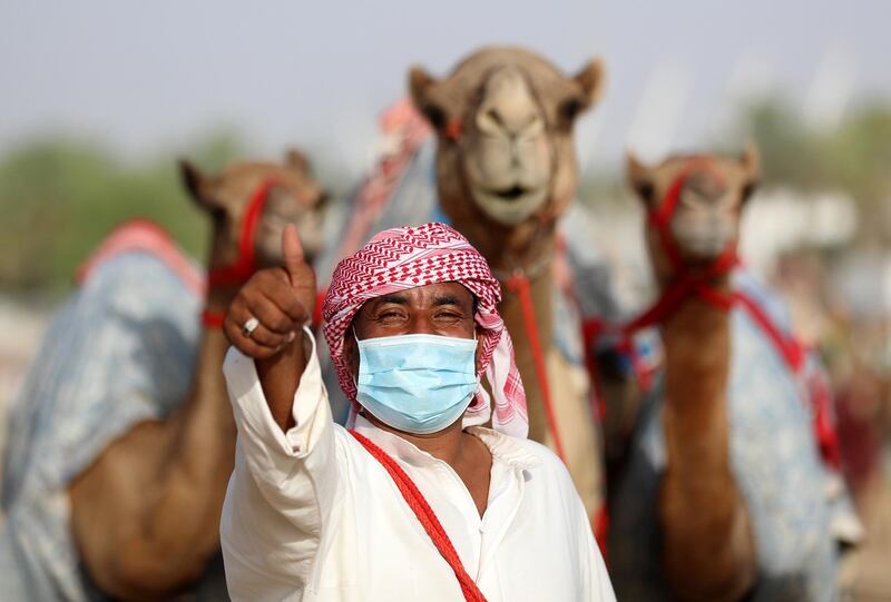 Dubai, United Arab Emirates - Reporter: Anna Zacharias. News. Handlers prepare the camels for racing at Al Marmoom camel race track. Tuesday, September 1st, 2020. Dubai. Chris Whiteoak / The National