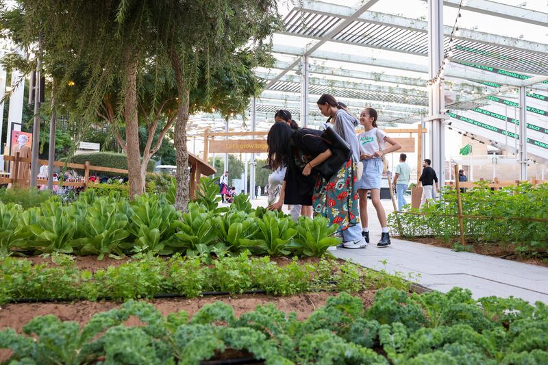 'Having a farm in the middle of the city is special to people,' Ms Shalaby said. Photo: Expo City Dubai
