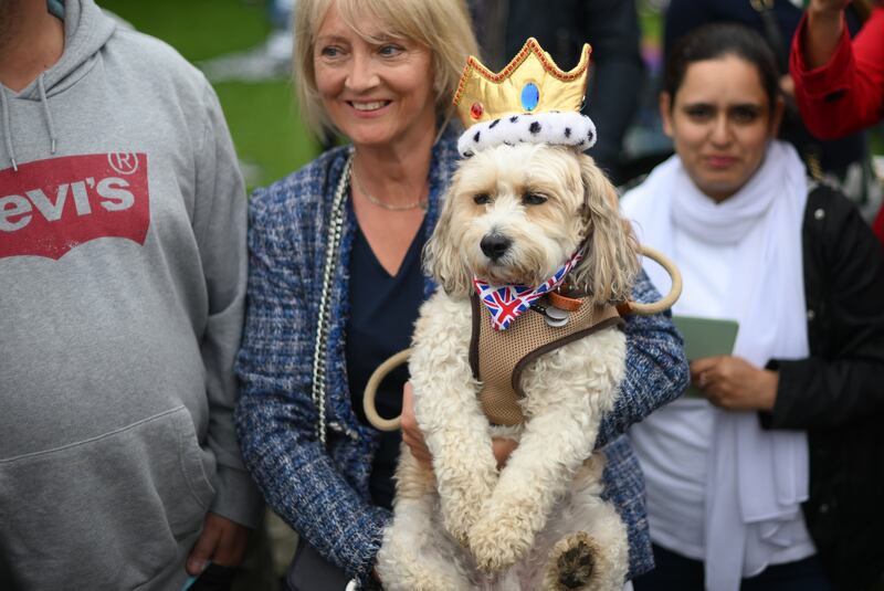 A dog wearing a crown at the Big Jubilee Lunch in Windsor. Getty