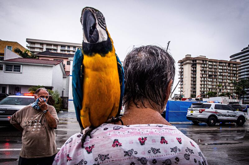 A woman with her macaw, at the collapsed Chaplain Towers South building in Surfside, Florida. Four more bodies were discovered overnight in the rubble, authorities said on Wednesday, as the search for more than 140 people unaccounted for entered a seventh day.