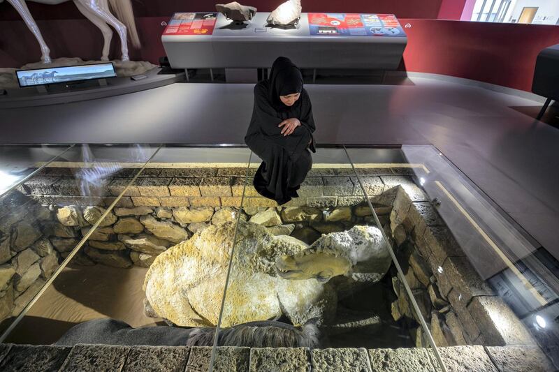 Sharjah, United Arab Emirates - July 10, 2019: Weekend's postcard section. Amna Albadri looks at a baliya practice where the people buried the dead along with a camel or a horse or both (mostly the animals they owned) in a senate grave at the Mleiha Archaeological Centre. Wednesday the 10th of July 2019. Maleha, Sharjah. Chris Whiteoak / The National